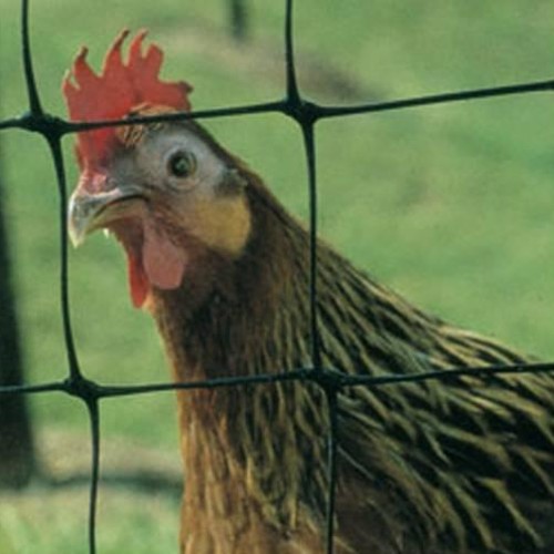 Deer & Poultry Fencing
