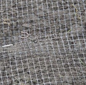 Mole and Vole Barrier Category