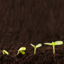 Seed Starting Supplies Category