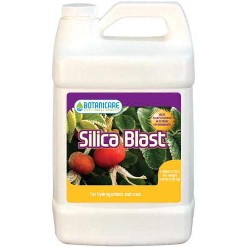 Silica Supplements Category