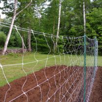 Agtec Trellis Support Netting 60in x 3280ft Roll