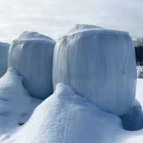 AgTec White Silage Hay Bale Wrap On Hay Bale