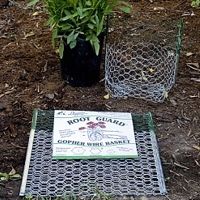 Gopher Control Wire Basket - 1 Gallon (Box of 72)