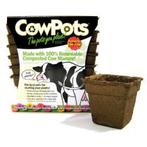 CowPots #5 Cow Manure Square Pots (Case of 60)