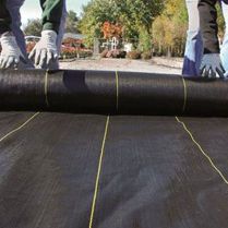 Sunbelt Ground Cover Rolled Out