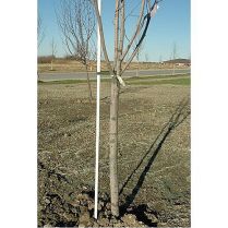 Fiberglass Stakes 6'- 10 pack