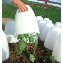 Frost Guard Vented Plastic Plant Covers (15in x 13in)