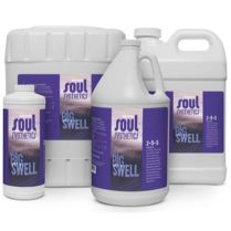 Soul Synthetics Big Swell Bloom Booster (1 Gal.)