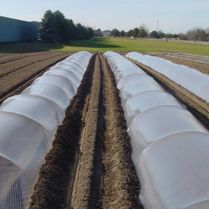 Low Tunnel Clear Plastic 0.8 mil (6ft x 1000ft)