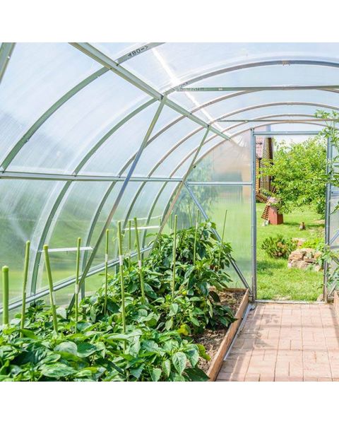 Agtec Super Strength Greenhouse Film 12 mil Anti-Condensation, Anti-Sulphur (per sq.ft)