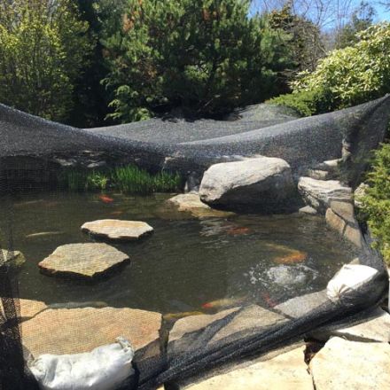 DeWitt Deluxe Pond Netting – ¼in Mesh, 12ft x 30ft