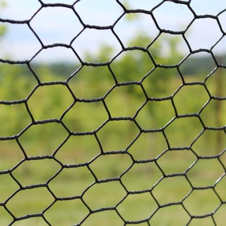 Plastic Coated Wire Mesh: Galvanized Hexagonal Mesh with PVC Coating,  Chicken Wire and Fences