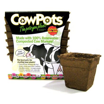 Organic Cow Dung Pots
