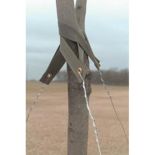 Galvanized Wire 14 Gauge 10 lb Spool