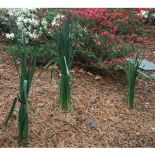 Green Twist Ties 6in 25,000 count  