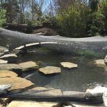 DeWitt Deluxe Pond Netting – ¼in Mesh, 20ft x 20ft