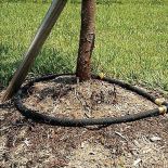 Soaker Hose Tree Irrigation Ring