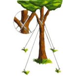 Tree Guying Hose 2.5 ft (100 pieces)