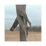 Tree Strap 1.5in x 24in with Brass Grommet (100 pack)