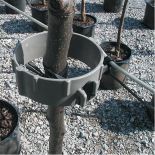 Trellis Mate Reusable Tree Support EPDM Rubber Bands (5 pack)