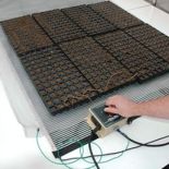 Agritape Heating Mat with Ground Screen, 22" Width 4' Length