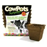 CowPots #12 Cow Manure Square Pots (Case of 40)