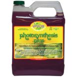 Microbe Life Photosynthesis Plus Beneficial Bacteria CA (1 Gal.)