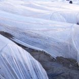 Low Tunnel Clear Plastic .8 mil (6ft x 1000ft) - Perforated