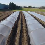 Wire Hoops for Low Tunnels and Frost Blankets 54” (25 Count)