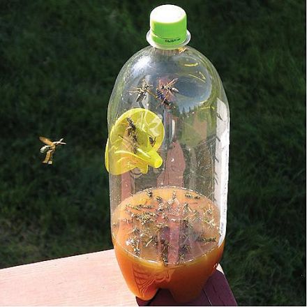 Details about   20ps Trap Bee Hornets Catcher Wasp Insects Funnel  Reusable Plastic Bottle 